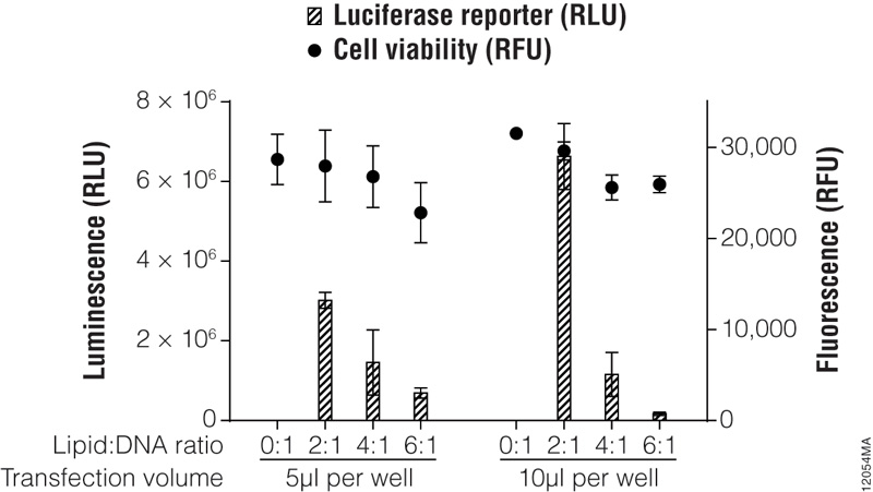 Transfection optimization with Viafect