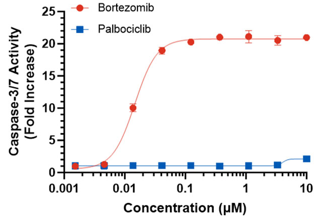 Dose-response graph showing an apoptotic response to bortezomib with no apoptotic response to palbociclib.