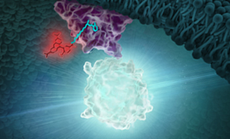 Chemical Probes article resource image