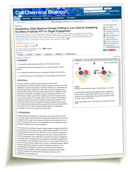 2018 Cell Chemical Biology paper on Kinase Profiling in Live Cells