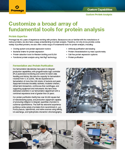 Download Flyer: Custom Protein Analysis