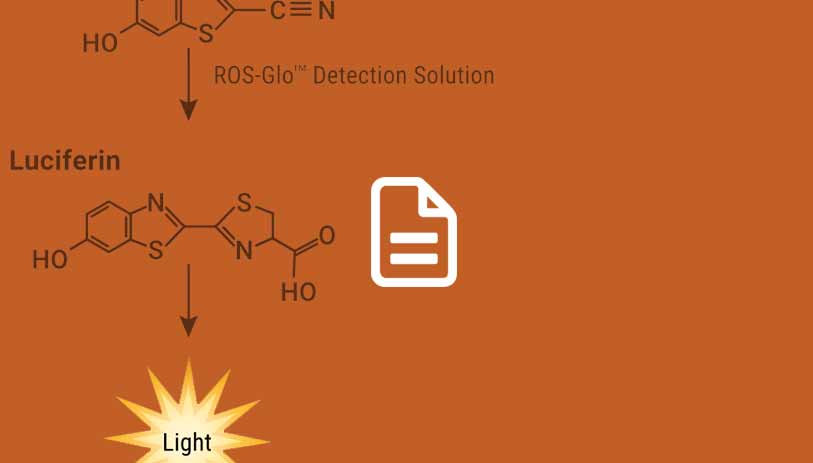 detection of ros