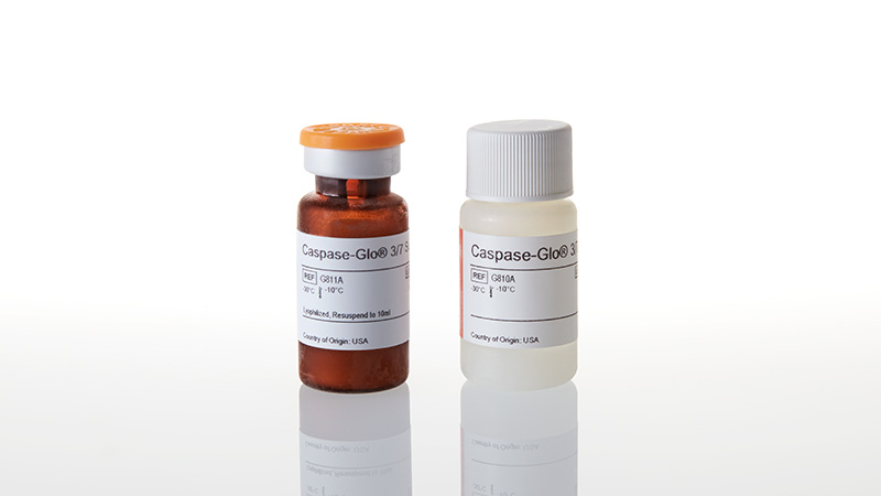 G8091_Caspase-Glo--3-3a7-Assay--10ml_3