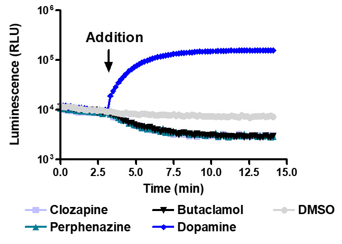 glosensor camp assay detection of inverse agonists