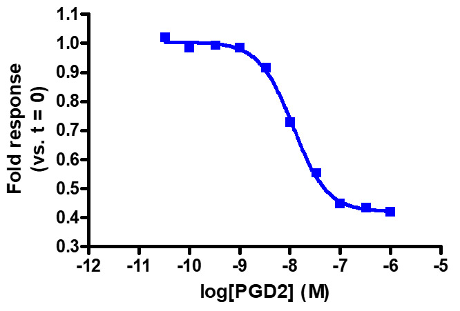 glosensor camp assay detection of g-alpha activity