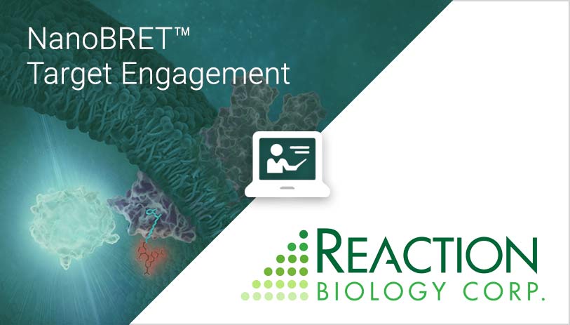 nanobret-te-reaction-bio