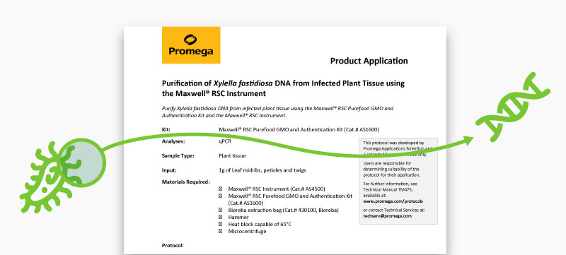 plant-pathology-protocols