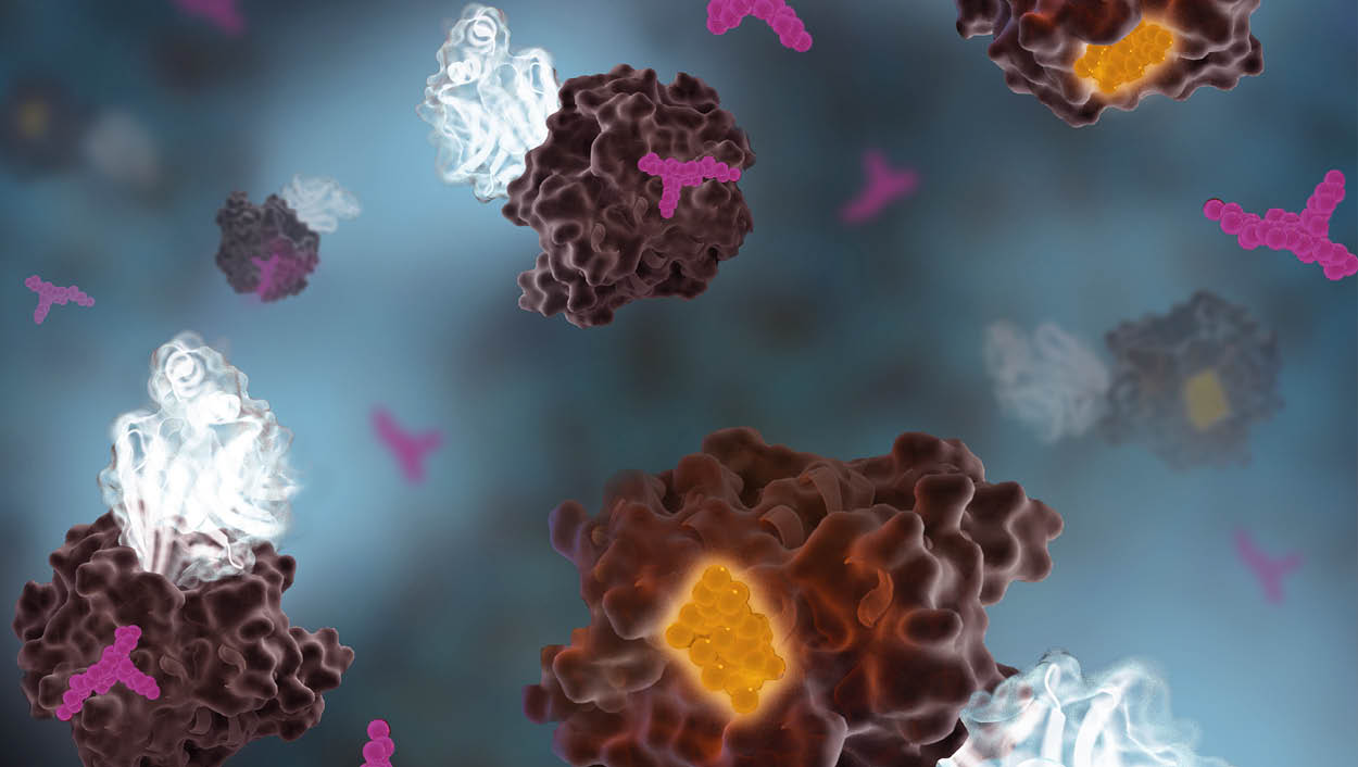 Protein Protein Interactions using BRET-Based Assay