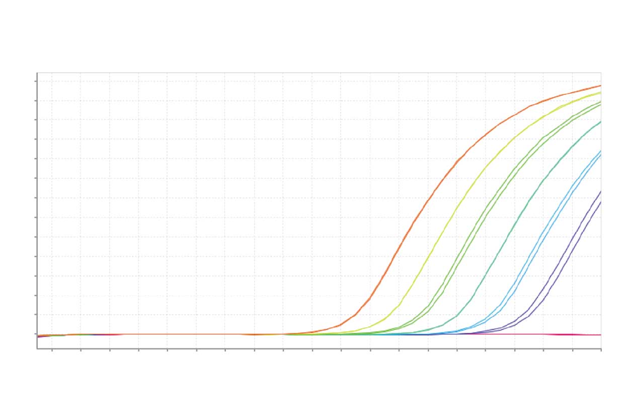 qPCR curves