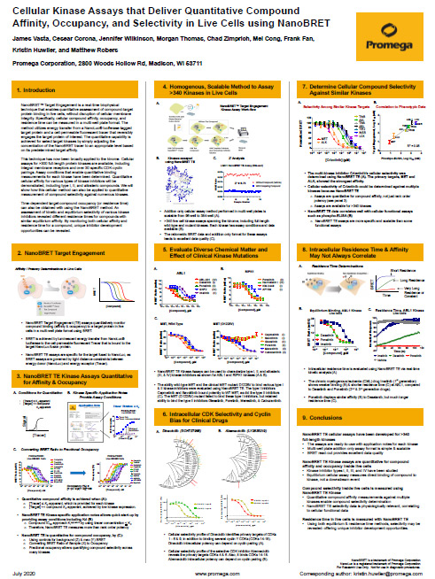 Cellular Kinase Assays that Deliver Quantitative Compound Affinity, Occupancy, and Selectivity in Live Cells using NanoBRET