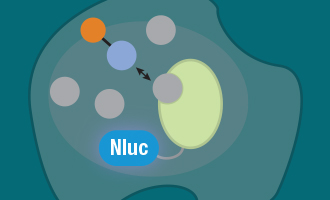 Novel BRET Assay for TE Webinar Resource