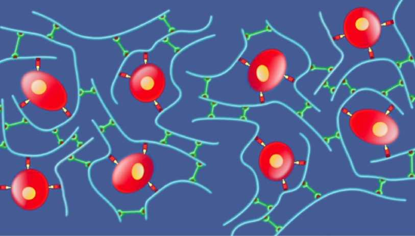 2-overview-of-3d-cell-culture-model-systems