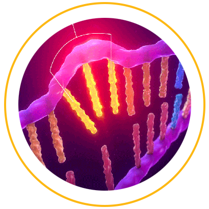 Microsatellite Instability (MSI)