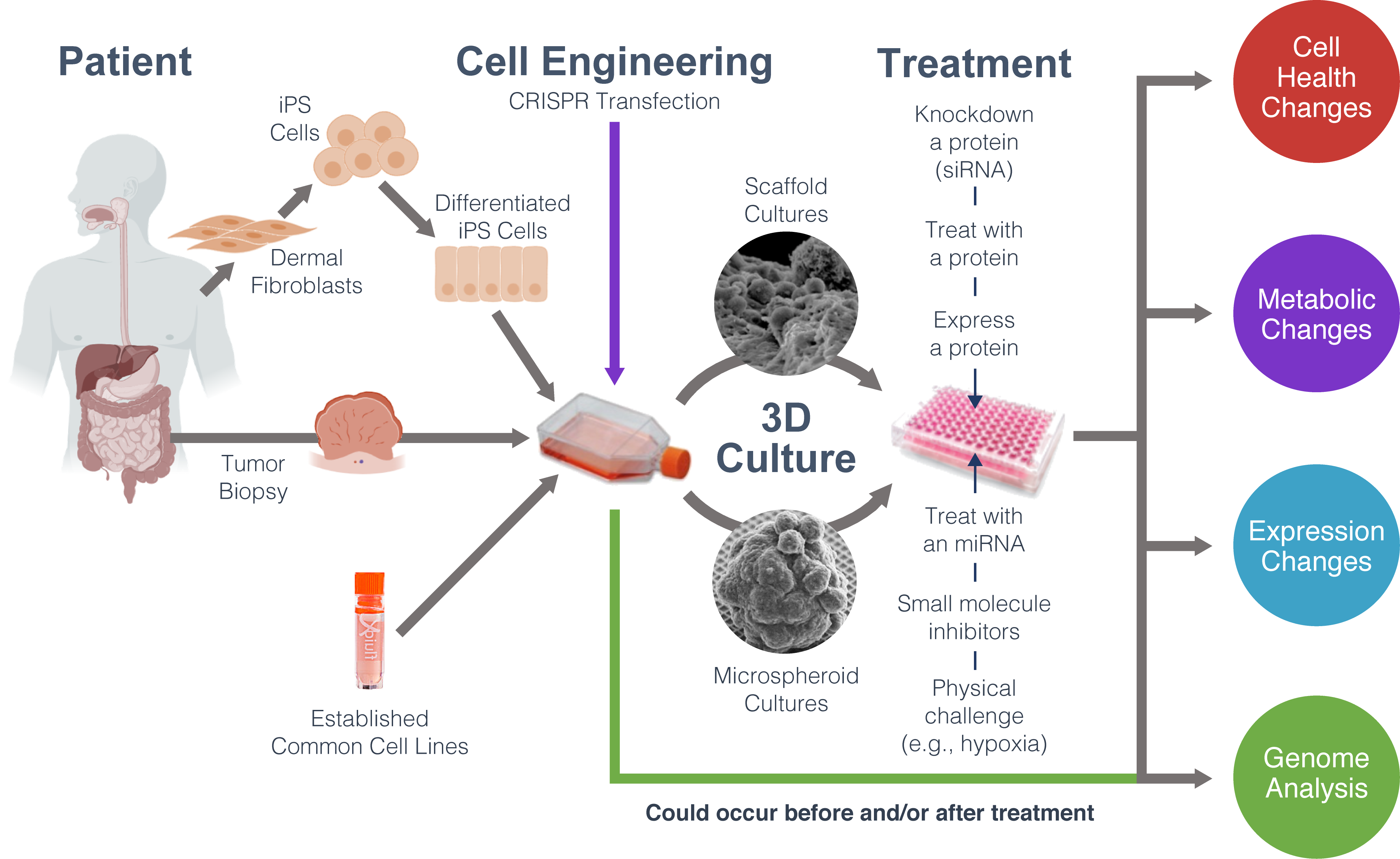 monitoring-biology-in-3d-cultures